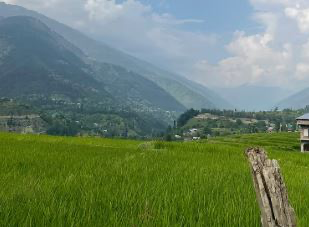 India using farm land in Kashmir Valley for non-agricultural purposes to make Kashmiris dependent
