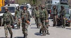 Indian forces launch CASO in Srinagar